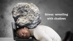 Stress: wrestling with shadows